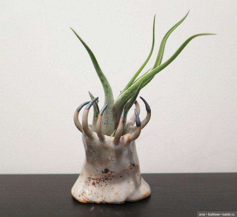 Абстрактные вазы от Gregory Knopp