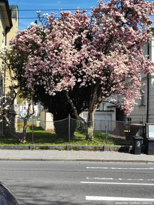 Музыкальная История 109 — Туризм и путешествия: фотоотчеты из поездок