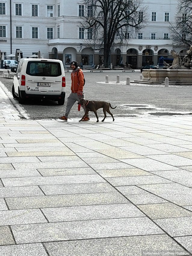 Музыкальная История 109 — Туризм и путешествия: фотоотчеты из поездок