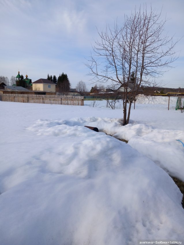 Бруно — Авторские мишки Тедди и друзья: фото (фото 9)