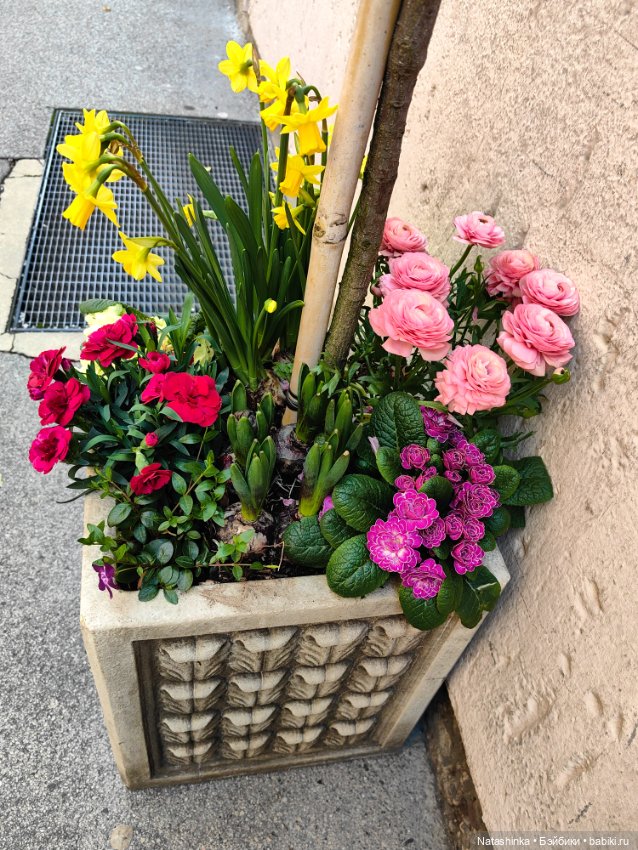 Музыкальная История 110 — Туризм и путешествия: фотоотчеты из поездок