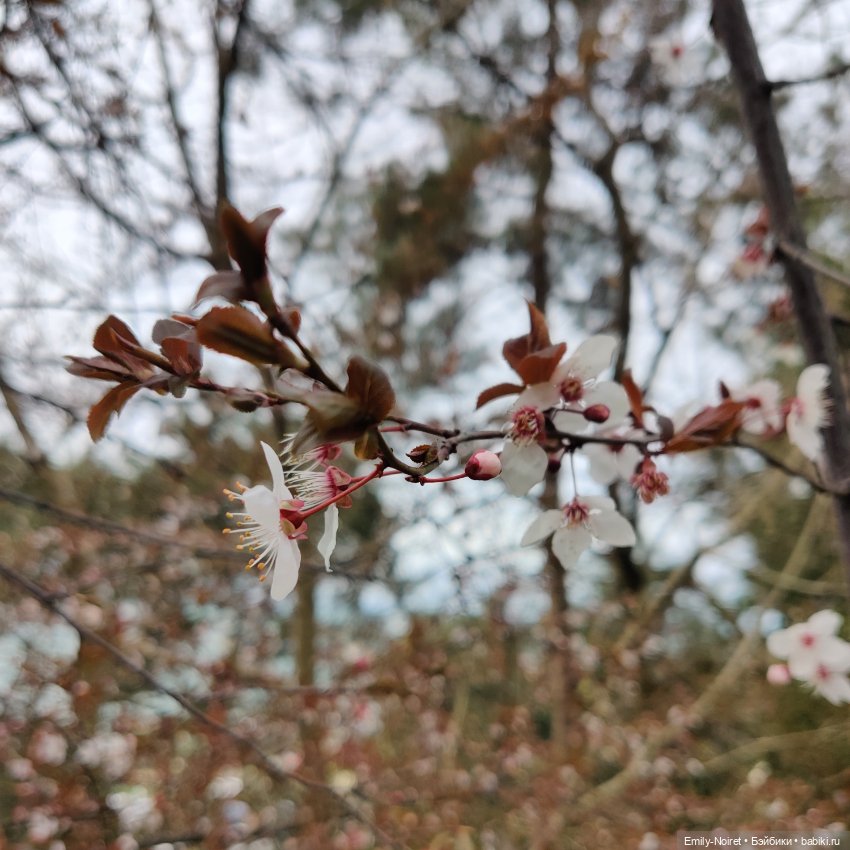 Сочи: Здороваемся с морем