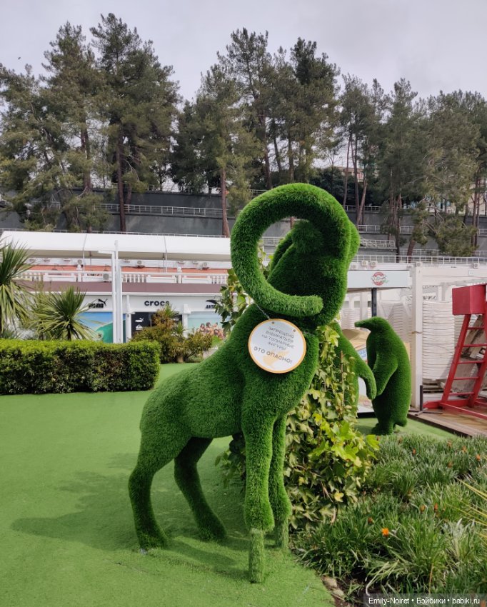 Сочи: Здороваемся с морем