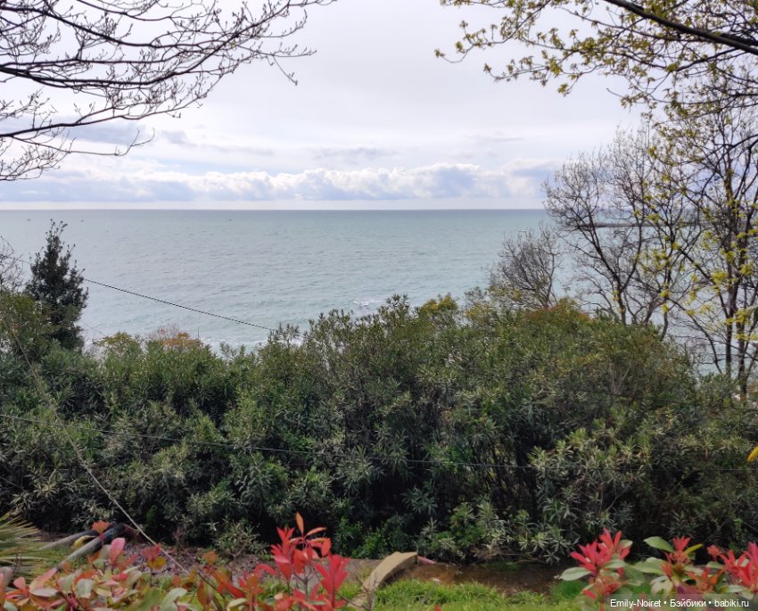 Сочи: Здороваемся с морем