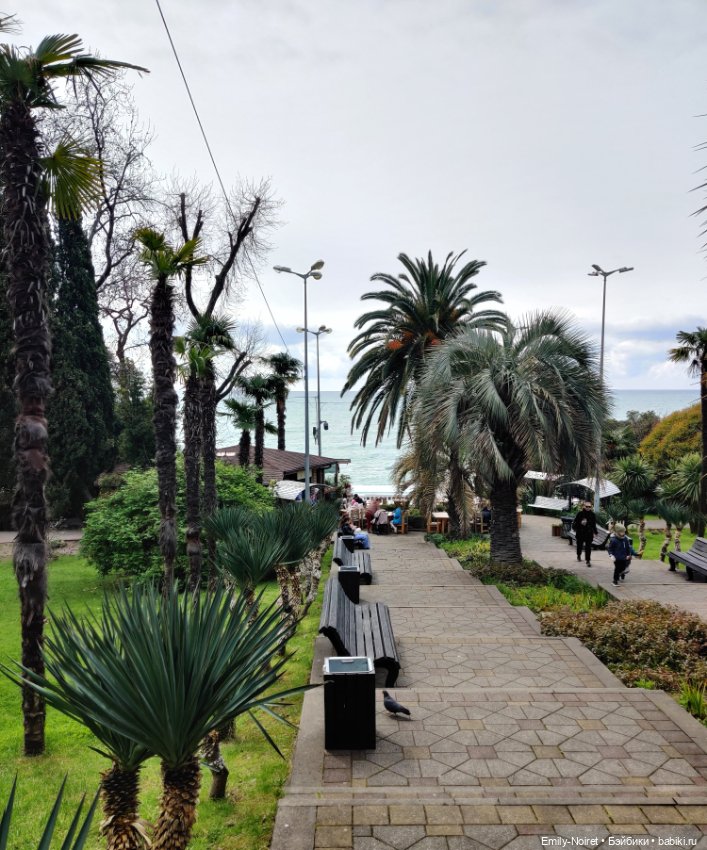 Сочи: Здороваемся с морем