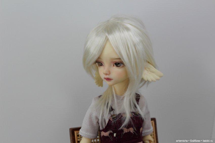 Очаровательный гибрид: тело Долшато и моська Soom Sueve/Tuff (фото 10)