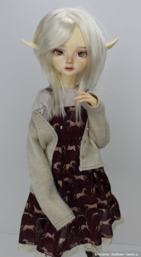 Очаровательный гибрид: тело Долшато и моська Soom Sueve/Tuff (фото 2)