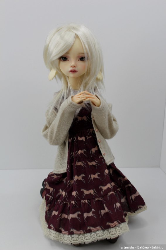 Очаровательный гибрид: тело Долшато и моська Soom Sueve/Tuff (фото 5)