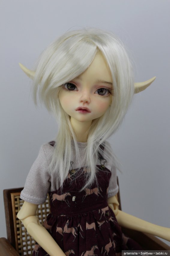 Очаровательный гибрид: тело Долшато и моська Soom Sueve/Tuff (фото 9)