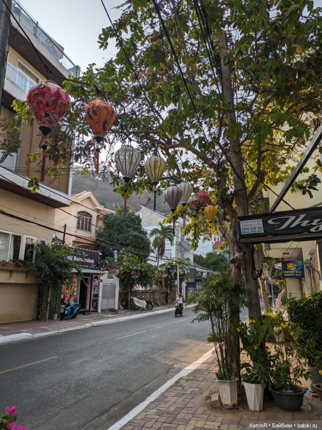 Роберто — Авторские мишки Тедди и друзья: фото