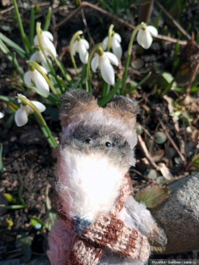 Люк встречает гостей + немного Бони + много подснежников (фото 9)