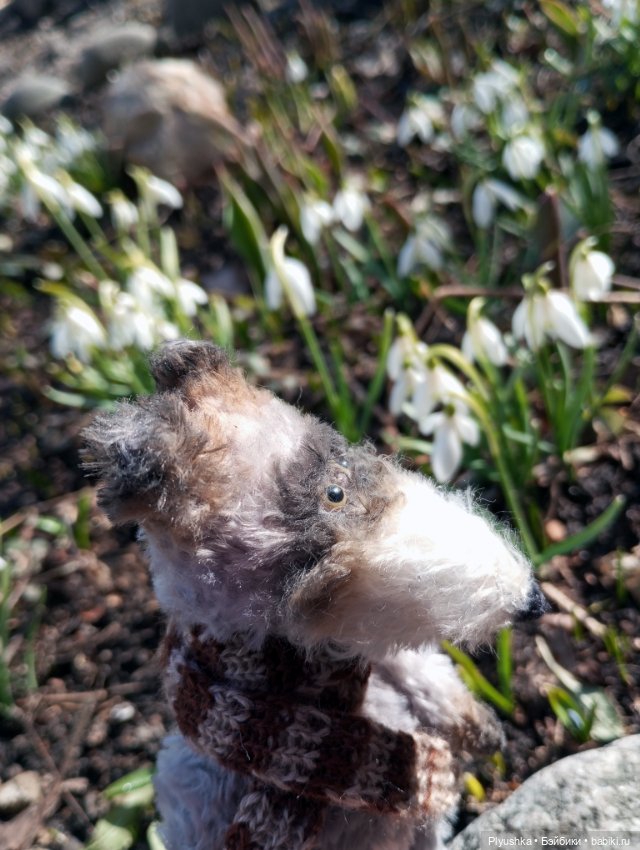 Люк встречает гостей + немного Бони + много подснежников (фото 4)