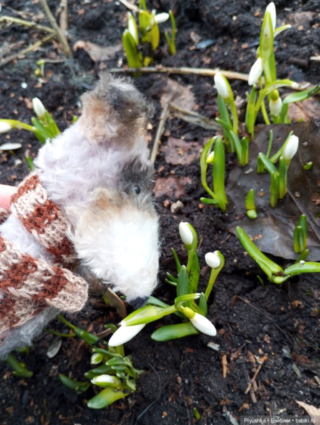 Люк встречает гостей + немного Бони + много подснежников (фото 6)