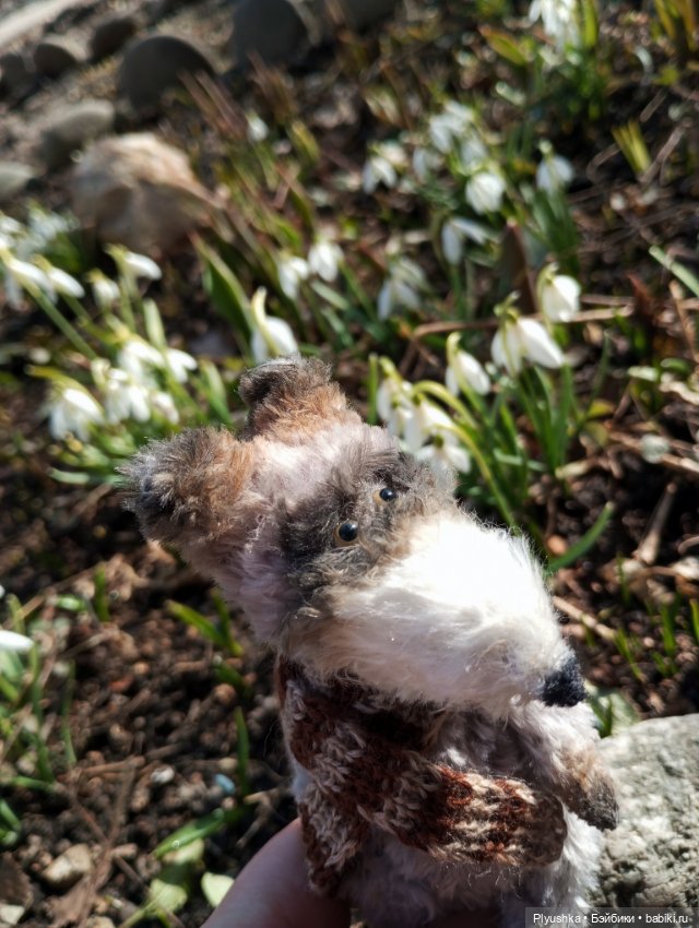 Люк встречает гостей + немного Бони + много подснежников