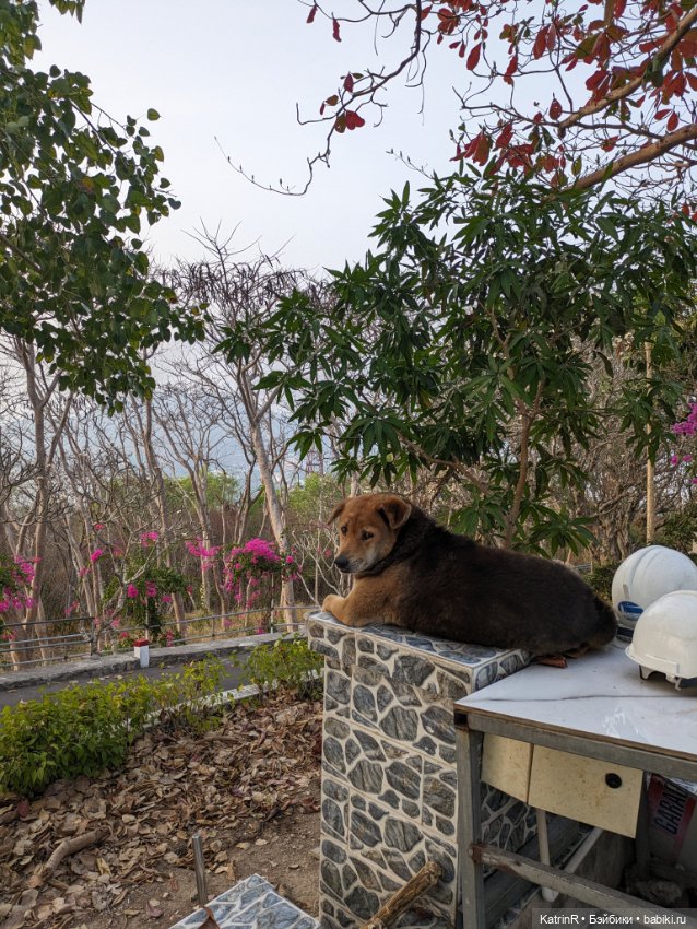 Гаврюша путешественник — Авторские мишки Тедди и друзья: фото