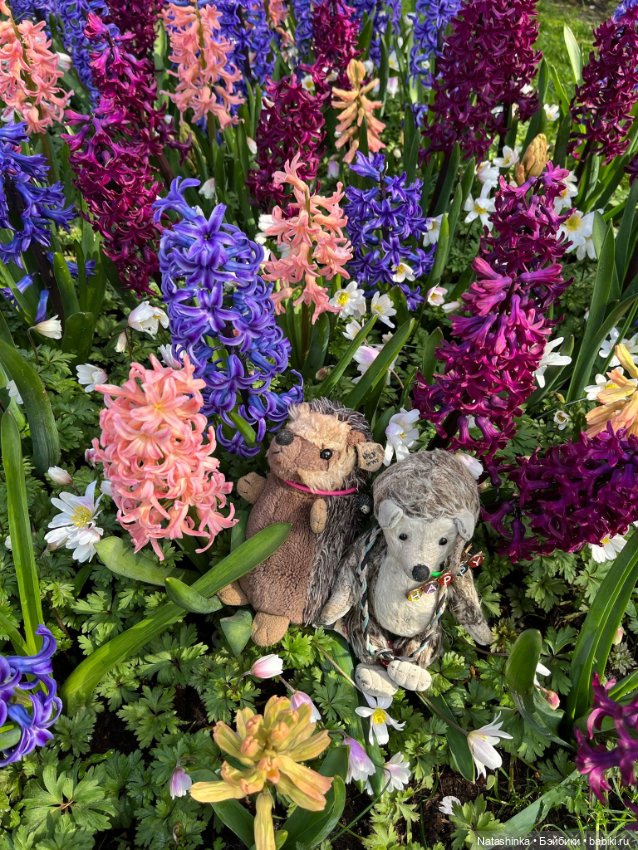 Музыкальная История 111 — Туризм и путешествия: фотоотчеты из поездок (фото 2)