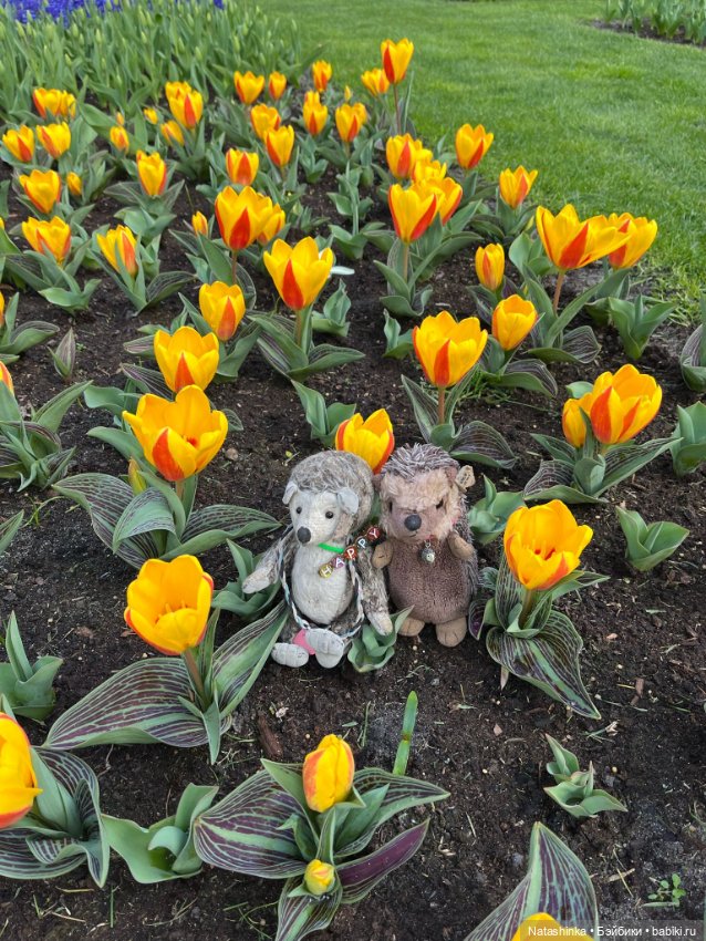 Музыкальная История 111 — Туризм и путешествия: фотоотчеты из поездок