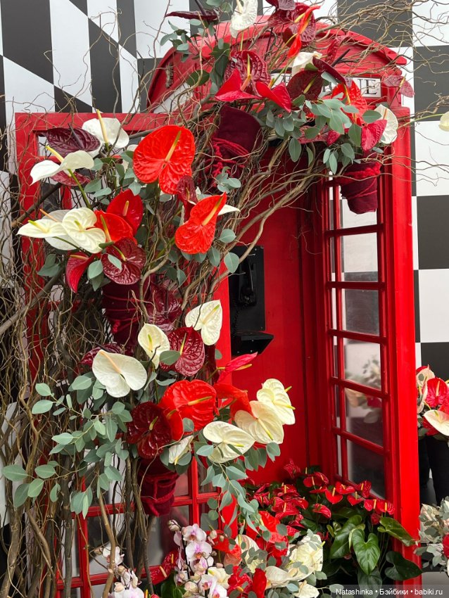 Музыкальная История 111 — Туризм и путешествия: фотоотчеты из поездок (фото 7)