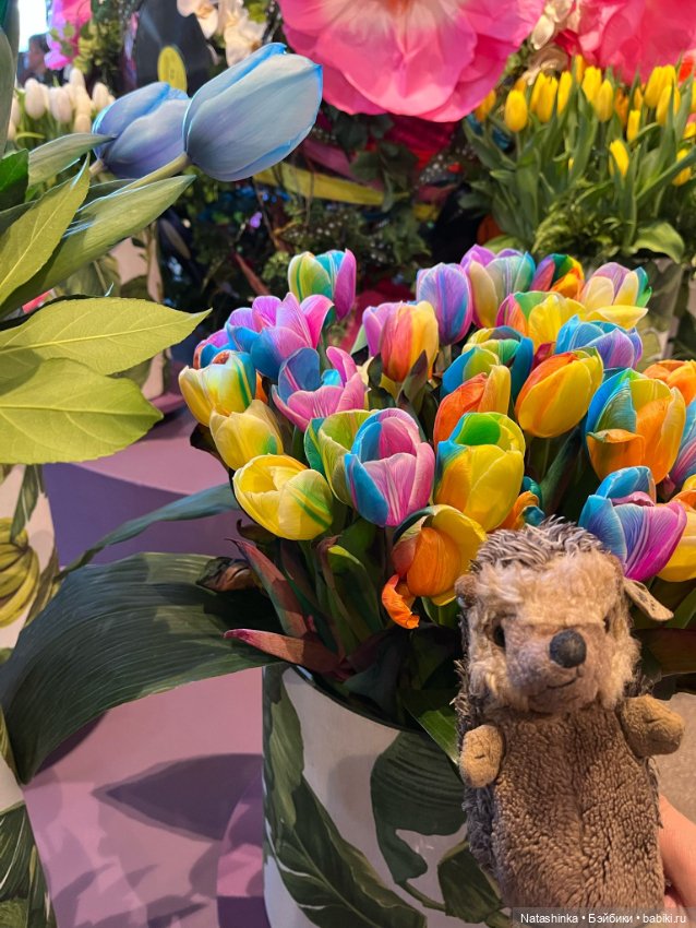 Музыкальная История 111 — Туризм и путешествия: фотоотчеты из поездок (фото 9)