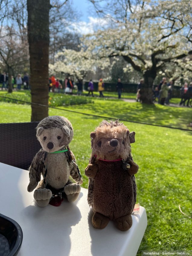 Музыкальная История 111 — Туризм и путешествия: фотоотчеты из поездок (фото 3)