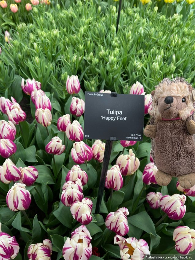 Музыкальная История 111 — Туризм и путешествия: фотоотчеты из поездок (фото 10)