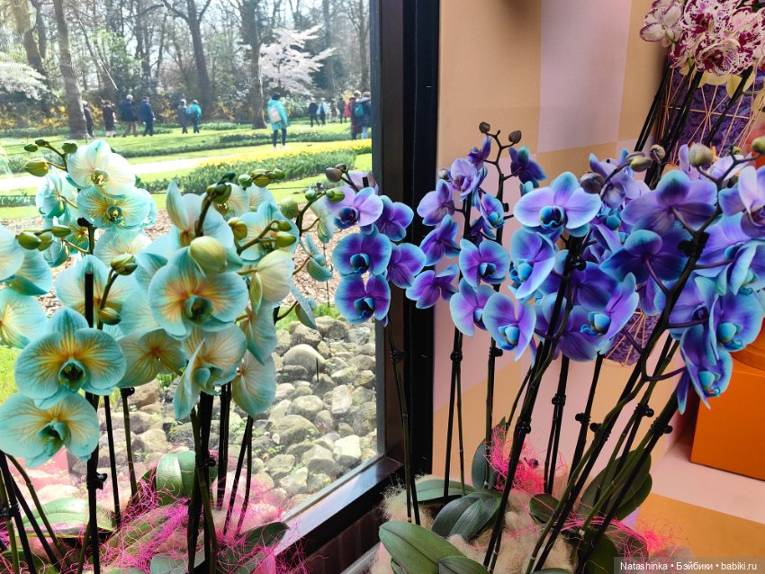 Музыкальная История 111 — Туризм и путешествия: фотоотчеты из поездок