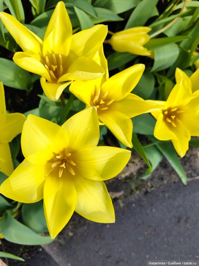 Музыкальная История 111 — Туризм и путешествия: фотоотчеты из поездок