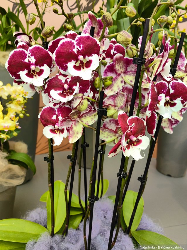 Музыкальная История 111 — Туризм и путешествия: фотоотчеты из поездок