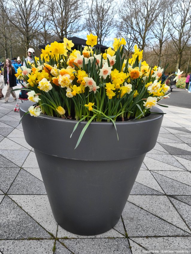 Музыкальная История 111 — Туризм и путешествия: фотоотчеты из поездок