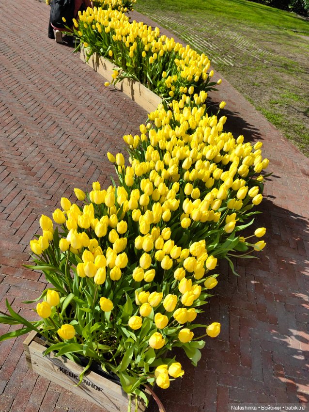 Музыкальная История 111 — Туризм и путешествия: фотоотчеты из поездок