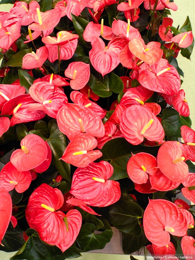 Музыкальная История 111 — Туризм и путешествия: фотоотчеты из поездок