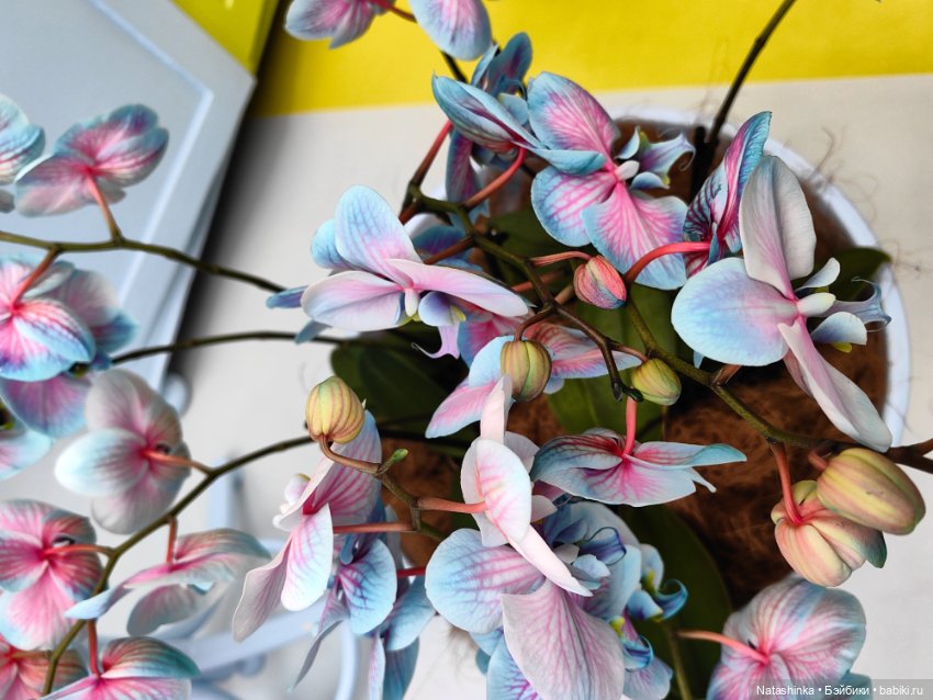 Музыкальная История 111 — Туризм и путешествия: фотоотчеты из поездок