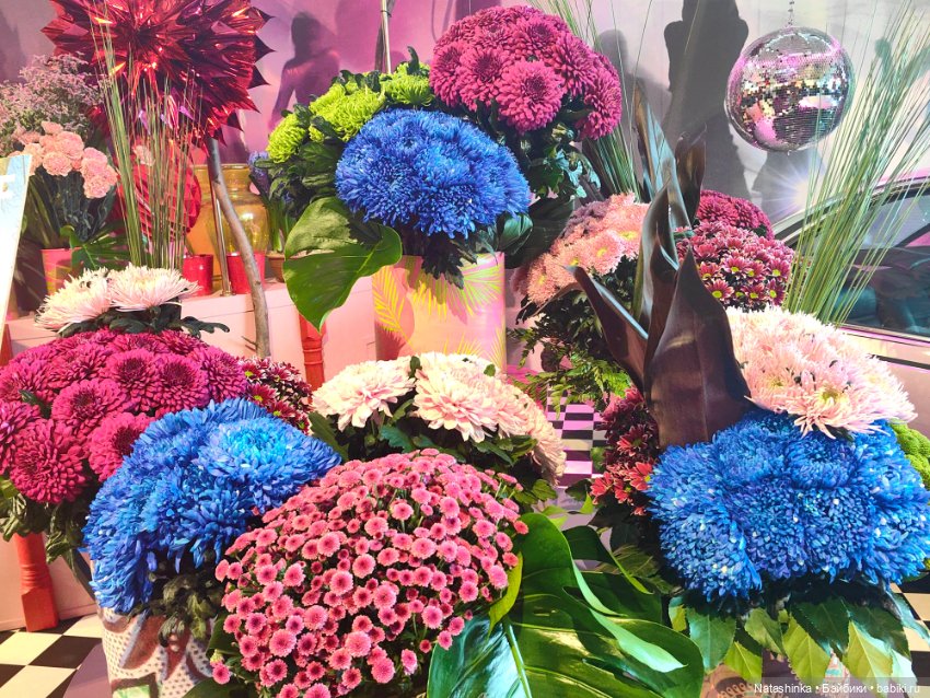 Музыкальная История 111 — Туризм и путешествия: фотоотчеты из поездок