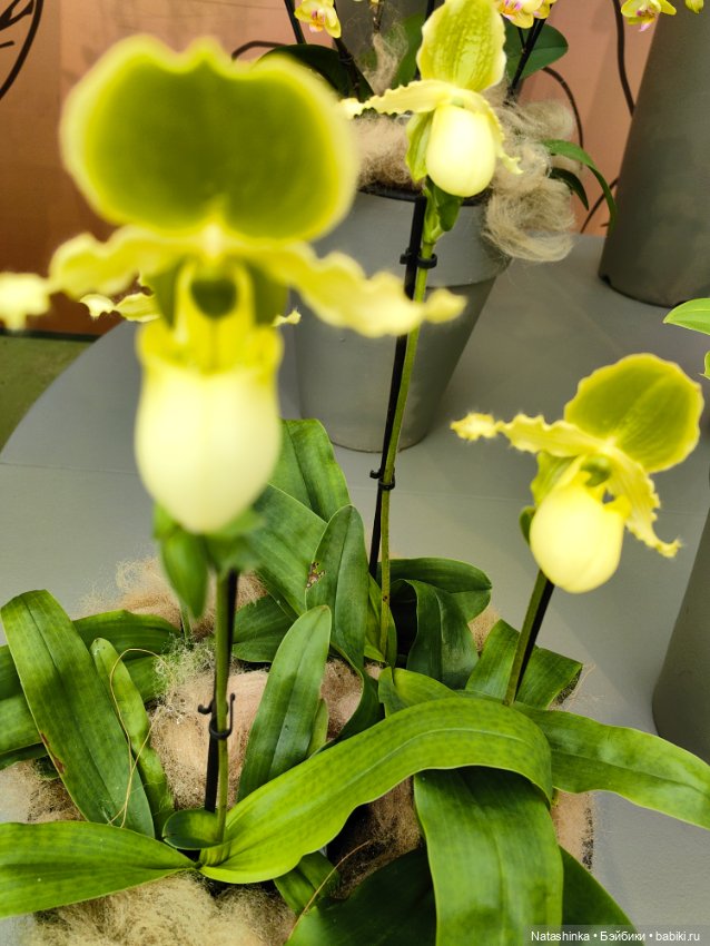 Музыкальная История 111 — Туризм и путешествия: фотоотчеты из поездок