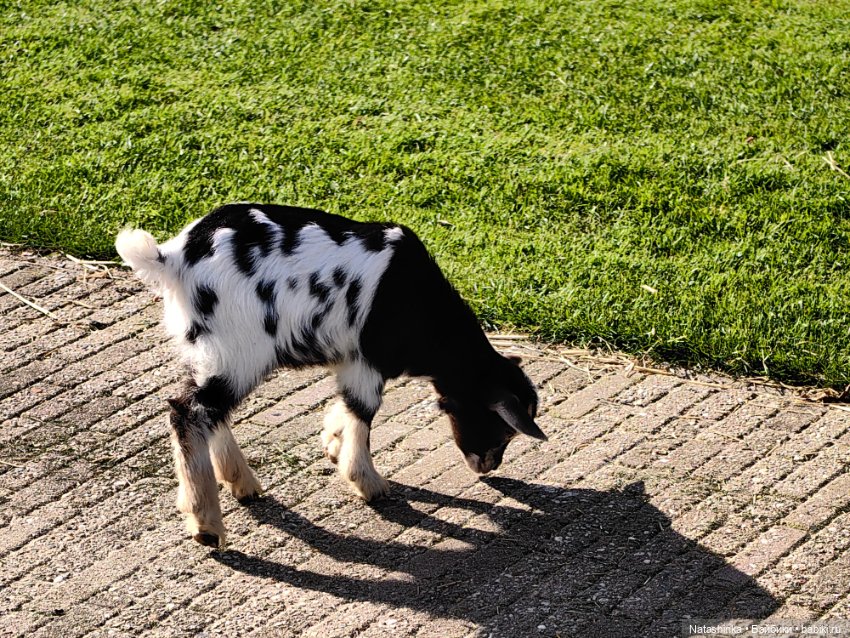 Музыкальная История 111 — Туризм и путешествия: фотоотчеты из поездок