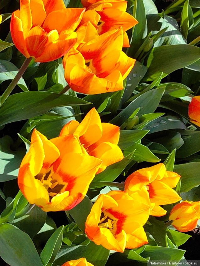 Музыкальная История 111 — Туризм и путешествия: фотоотчеты из поездок