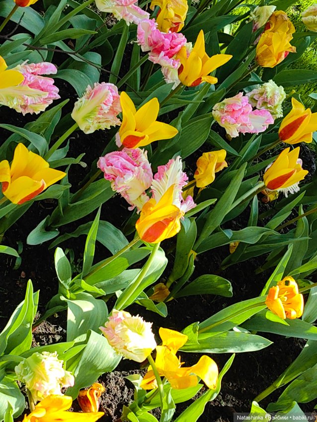 Музыкальная История 111 — Туризм и путешествия: фотоотчеты из поездок