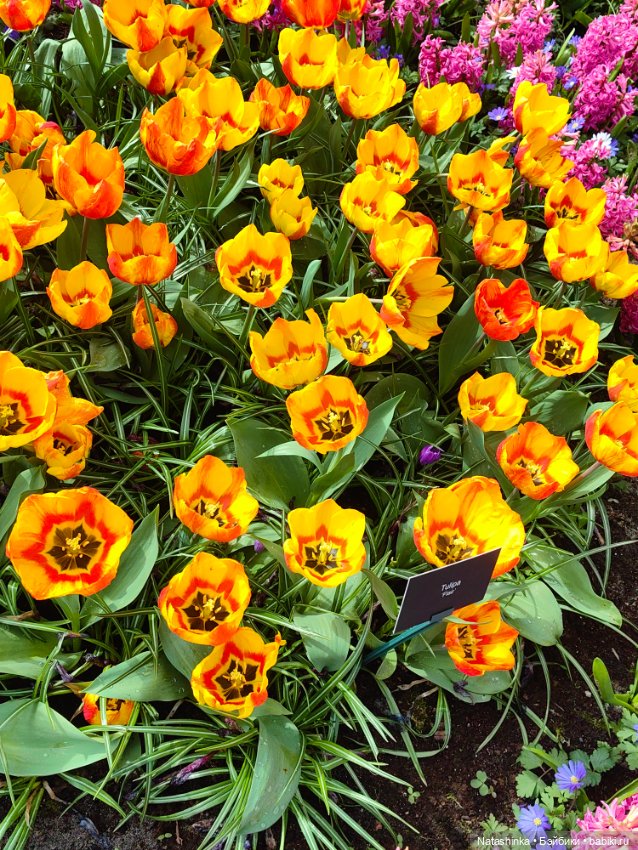 Музыкальная История 111 — Туризм и путешествия: фотоотчеты из поездок