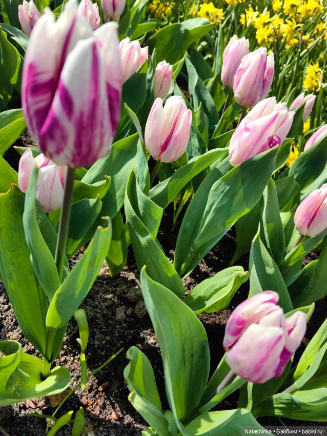 Музыкальная История 111 — Туризм и путешествия: фотоотчеты из поездок