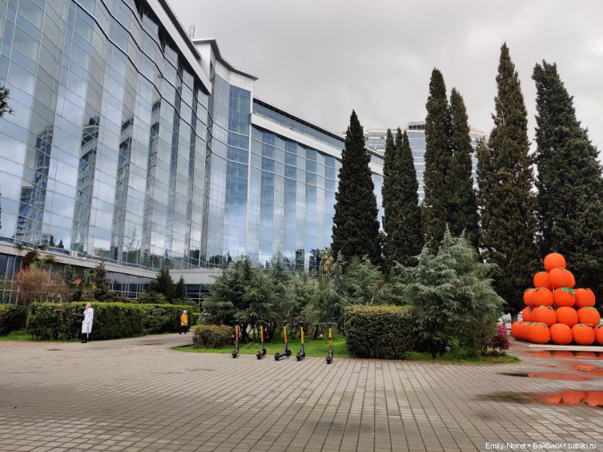 Сочи: Цветы под дождем — Туризм и путешествия: фотоотчеты из поездок