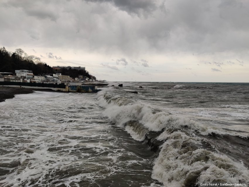 Сочи: Цветы под дождем — Туризм и путешествия: фотоотчеты из поездок