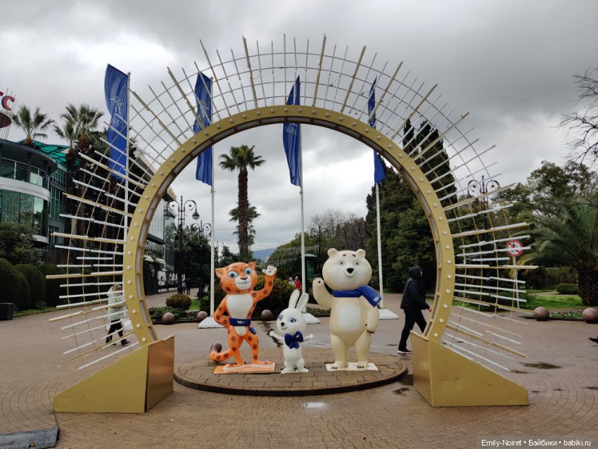 Сочи: Цветы под дождем — Туризм и путешествия: фотоотчеты из поездок