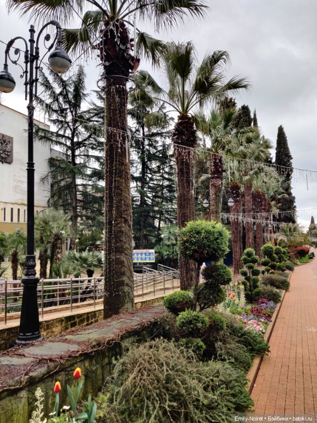 Сочи: Цветы под дождем — Туризм и путешествия: фотоотчеты из поездок