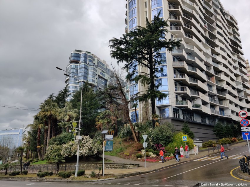 Сочи: Цветы под дождем — Туризм и путешествия: фотоотчеты из поездок