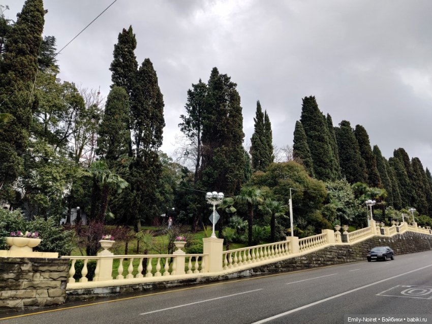 Сочи: Цветы под дождем — Туризм и путешествия: фотоотчеты из поездок