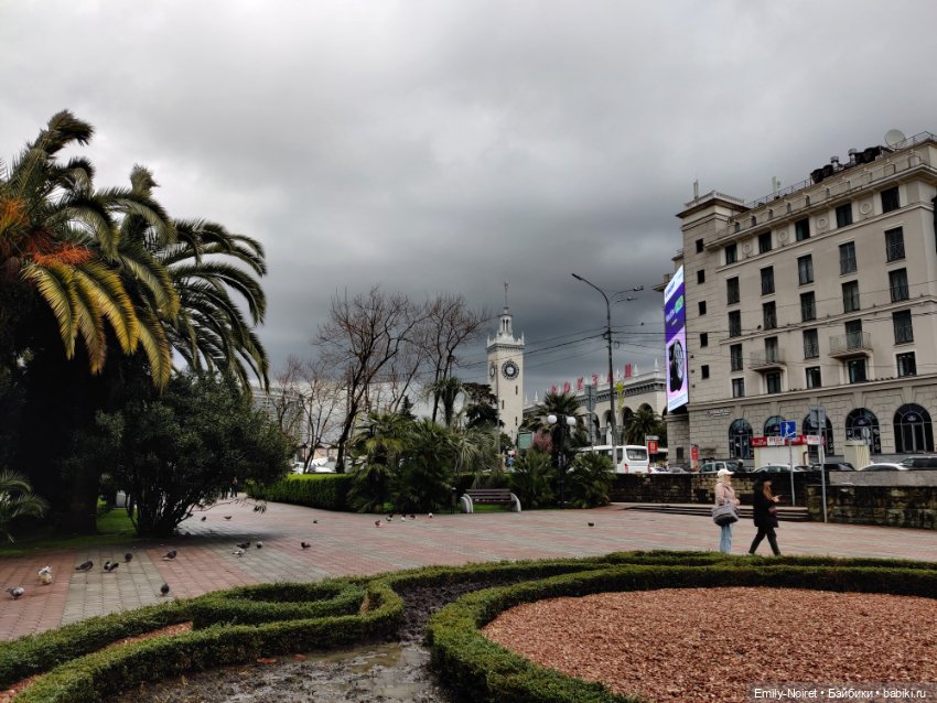 Сочи: Цветы под дождем — Туризм и путешествия: фотоотчеты из поездок