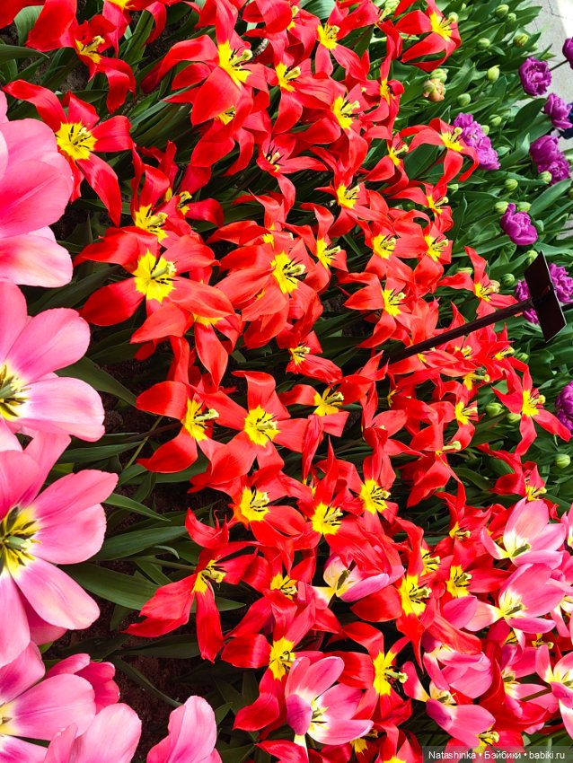 , Музыкальная История 112