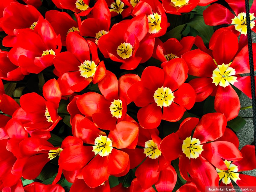 , Музыкальная История 112 (фото 2)