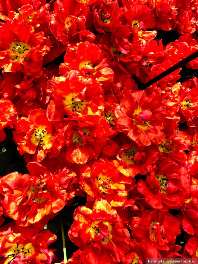 , Музыкальная История 112