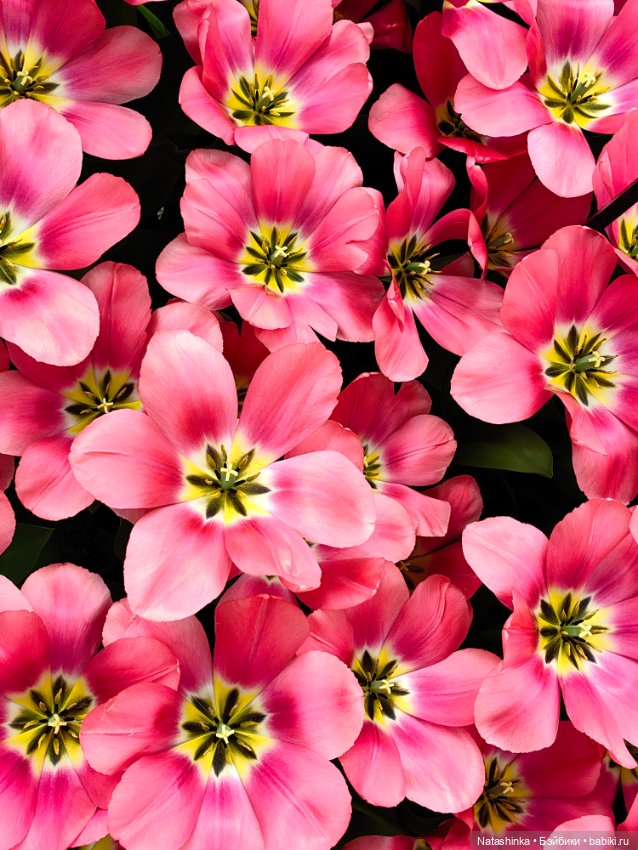 , Музыкальная История 112